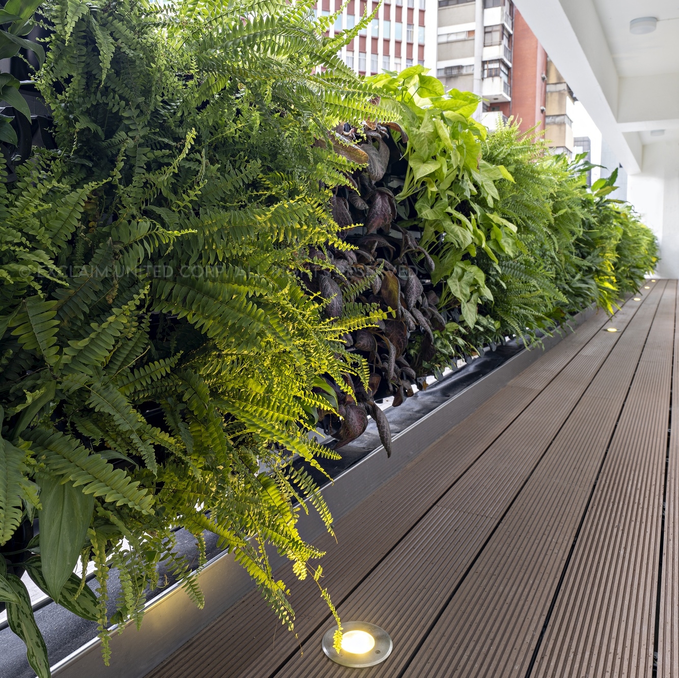 現代豪宅案例：綠色現代豪宅-永續